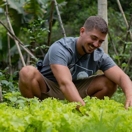 Pousada Salve Floresta Tapiraí Eksteriør billede