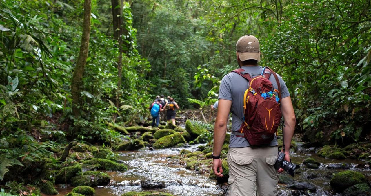 Pousada Salve Floresta Tapiraí Eksteriør billede
