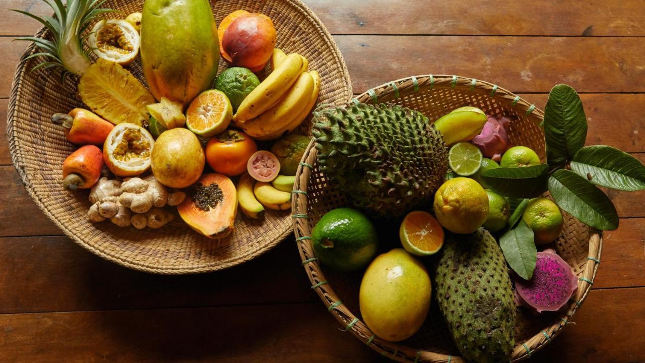 Pousada Salve Floresta Tapiraí Eksteriør billede