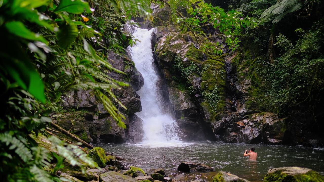 Pousada Salve Floresta Tapiraí Eksteriør billede