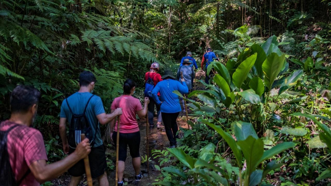 Pousada Salve Floresta Tapiraí Eksteriør billede