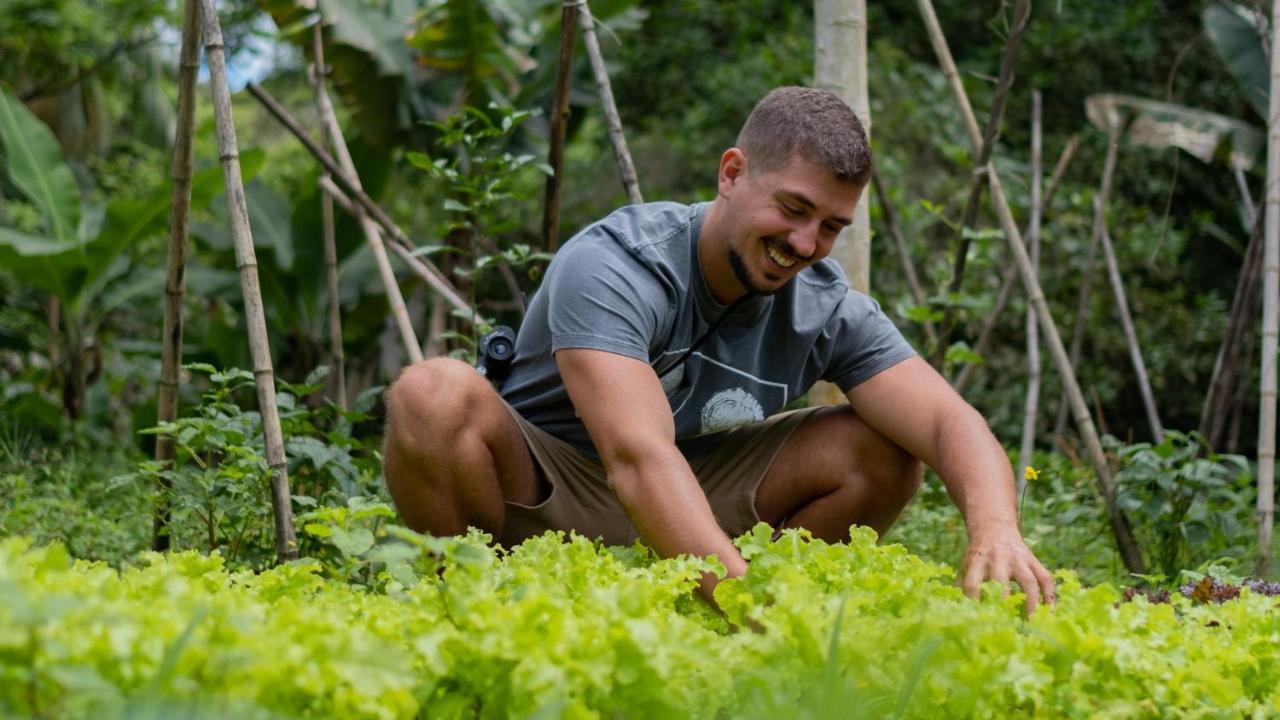 Pousada Salve Floresta Tapiraí Eksteriør billede
